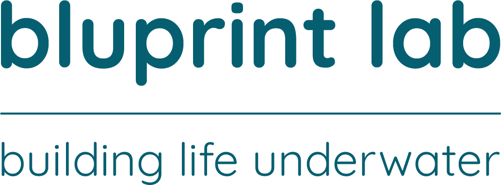 bluprint lab