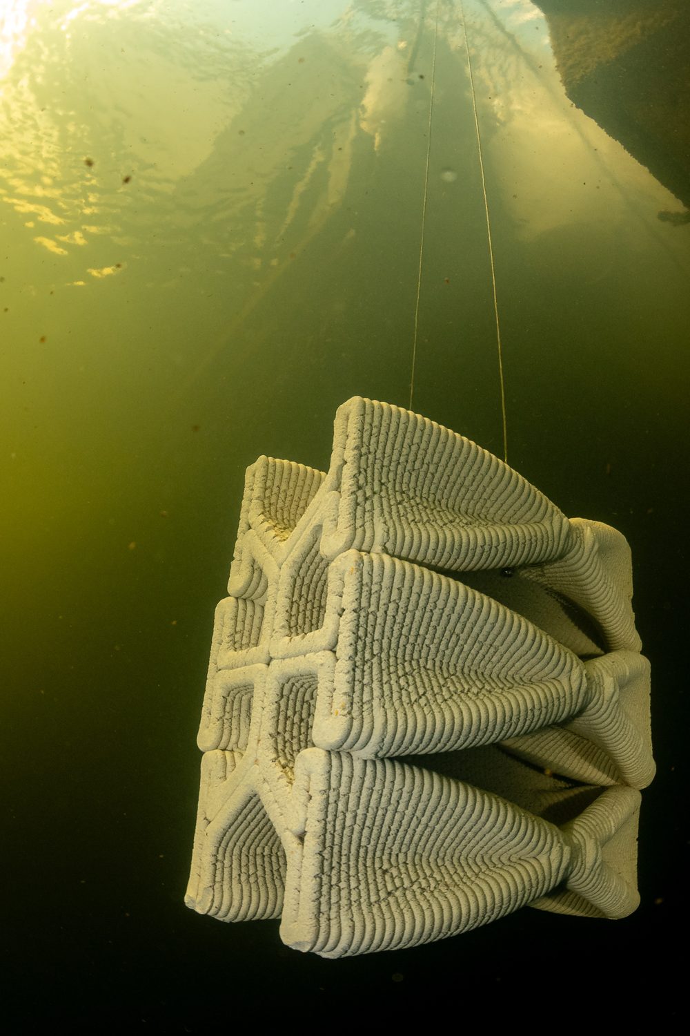 Das frisch installierte Riffmodul im Oslofjord
